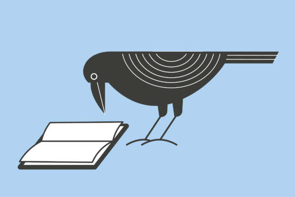 Livro Werbebild zeigt eine Krähe die in ei Buch schaut.