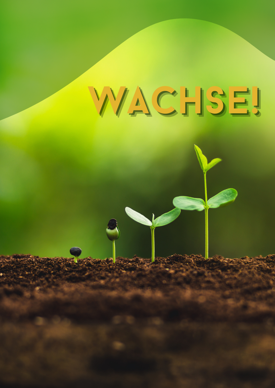 Plakat zum Lesemotiv Optimieren mit Keimlingen, die aus der Erde wachsen und der Überschrift "Wachse!"