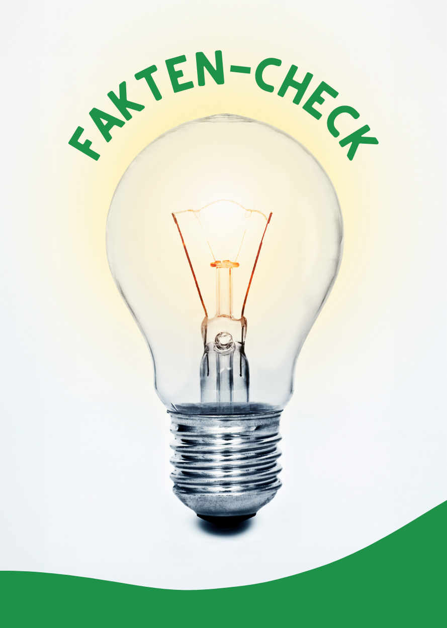 Plakat zum Lesemotiv Verstehen mit einer leuchtenden Glühbirne und der Überschrift "Fakten-Check"